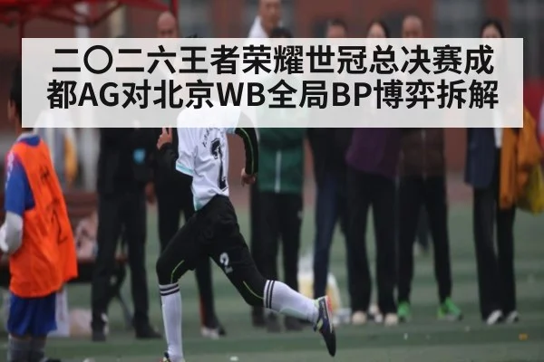 二〇二六王者荣耀世冠总决赛成都AG对北京WB全局BP博弈拆解（Kaiyun Sports）
